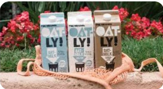 Oatly oat milk cartons