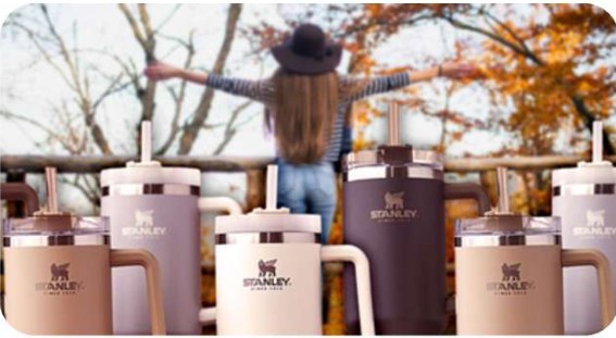 Stanley tumblers in autumn colours